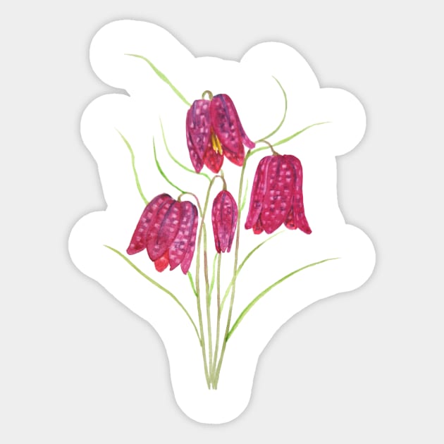 red snake's head fritillary watercolor Sticker by colorandcolor